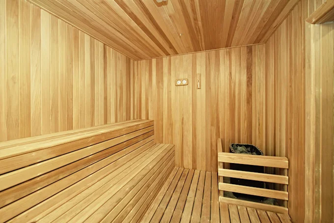 Rica Residence facility — sauna